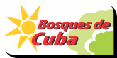 logo bosque de cuba